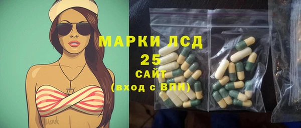 ГАЛЛЮЦИНОГЕННЫЕ ГРИБЫ Карпинск