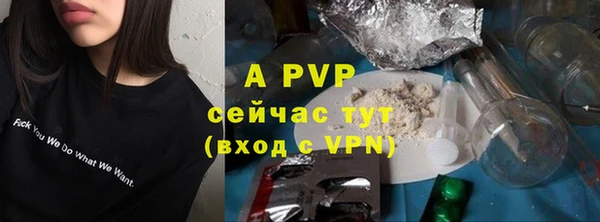 ГАЛЛЮЦИНОГЕННЫЕ ГРИБЫ Карпинск