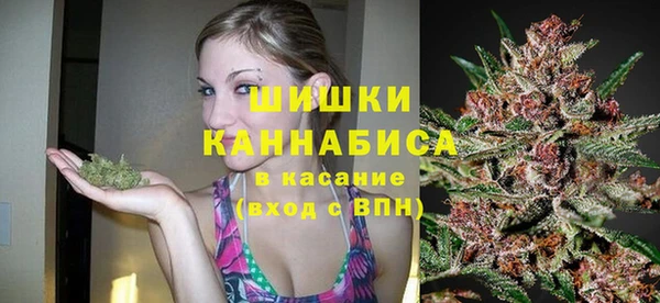 ГАЛЛЮЦИНОГЕННЫЕ ГРИБЫ Карпинск