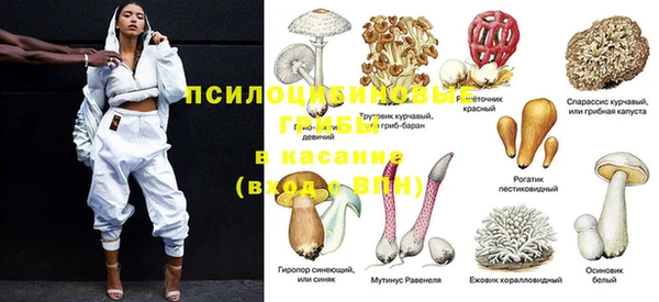 ГАЛЛЮЦИНОГЕННЫЕ ГРИБЫ Карпинск