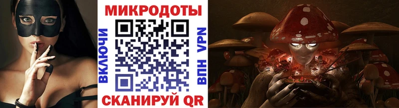 Купить закладки  Елизово  Псилоцибиновые грибы мухоморы 